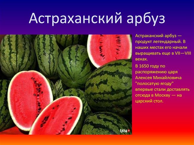 Посадка и выращивание арбуза Астраханского